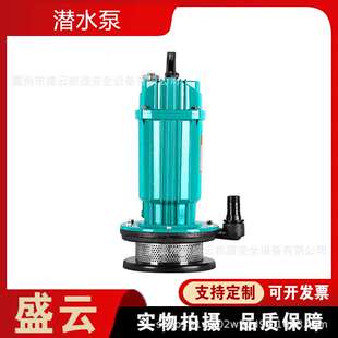 带电缆交流电潜水泵220V小型高扬程清水泵不锈钢农用灌溉抽水机