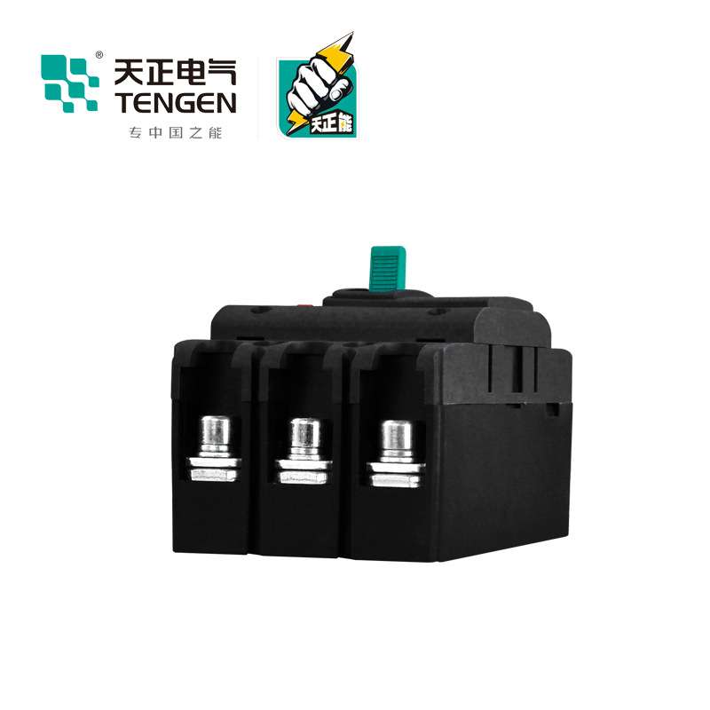TENGEN天正电气 TGM1N-63L/3300 63A塑壳断路器3P 40A 32A 50A 20