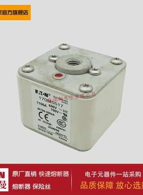 熔断器170M5564 170M5565 170M5566 170M5567 170M5568 170M6558
