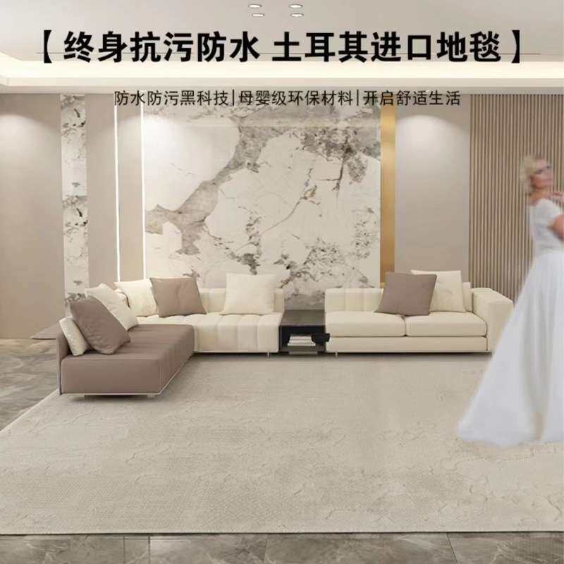 土耳其原装防水轻奢简约加厚家用客厅卧室耐脏地毯茶几沙发脚毯in