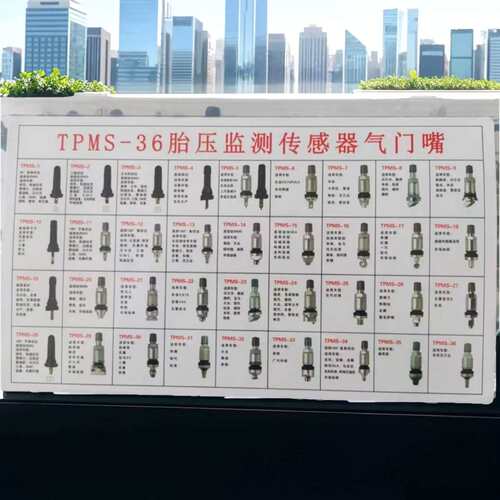 TPMS胎压监测套装轮胎气门嘴适合多种车型无内胎真空嘴