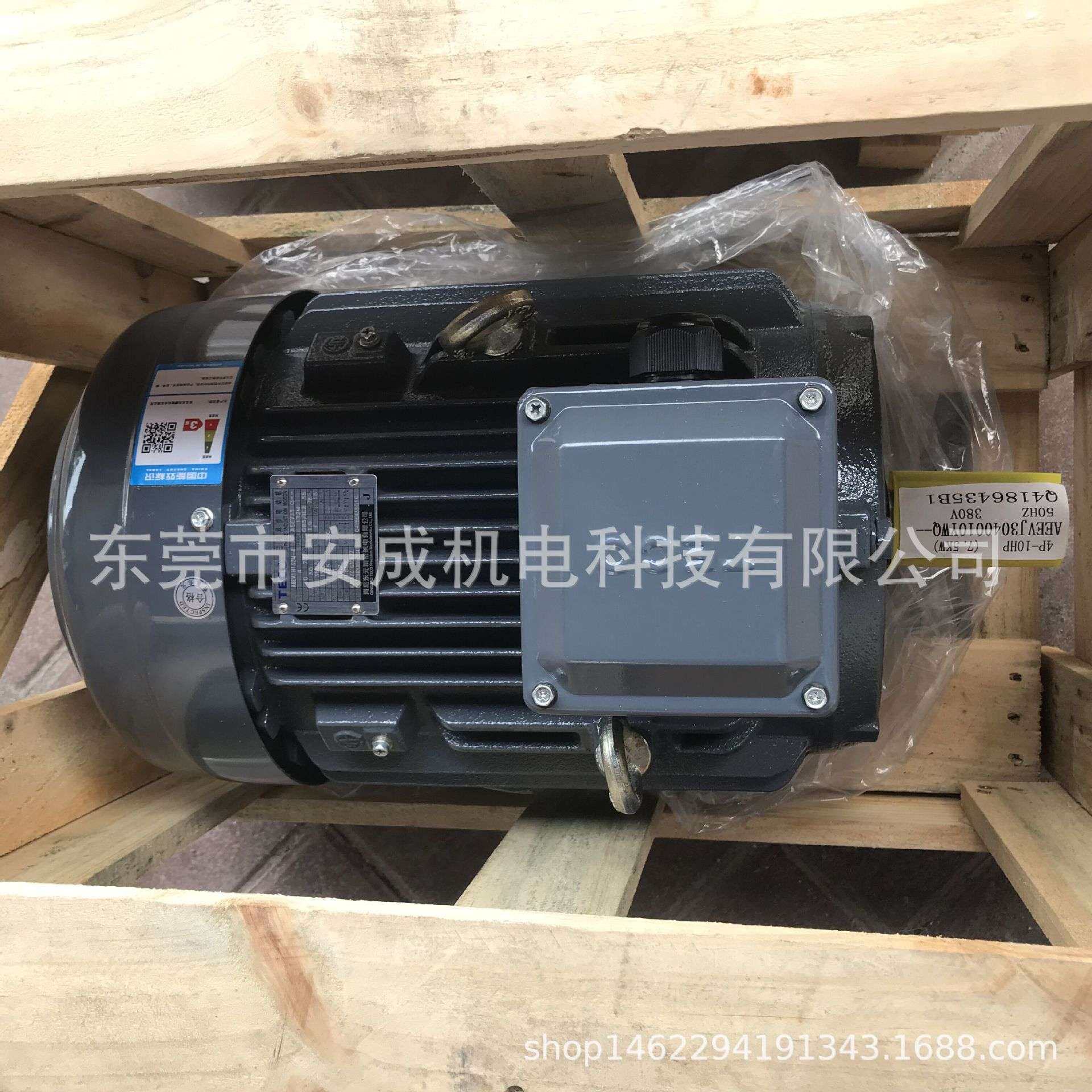 TECO东元电机AEEV1H132M-4 AEEV2N 10HP 7.5KW 4P IP55