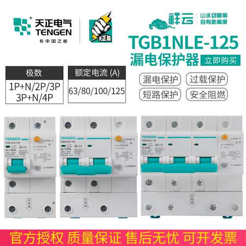 天正TGB1NLE-125空气开关带漏电保护断路器2P单相3P+N三相4P 100A