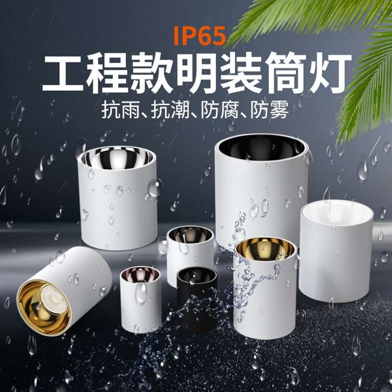 户外室外店铺门头阳台露台酒店雨棚吸顶防雾射灯led明装防水筒灯