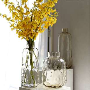 时尚现代简约欧式彩色通透玻璃花瓶居家客厅餐厅玄关装饰水培摆件
