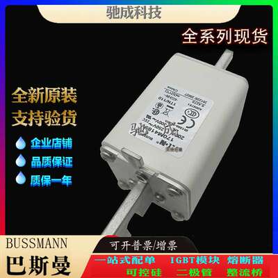 巴斯曼170M4189 170M4190 170M4191 大量现货批零兼营 快熔保险丝