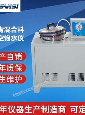 沥青混合料真空饱水试验仪 LZK-2 厂家价格 自产自销 生产商
