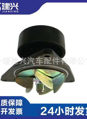 东风康明斯6CT  6L 柴油发动机 4089647 3966841 5402699 水泵