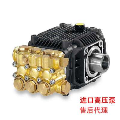 意大利进口AR高压泵柱塞泵空气加湿除尘降温XM1515C