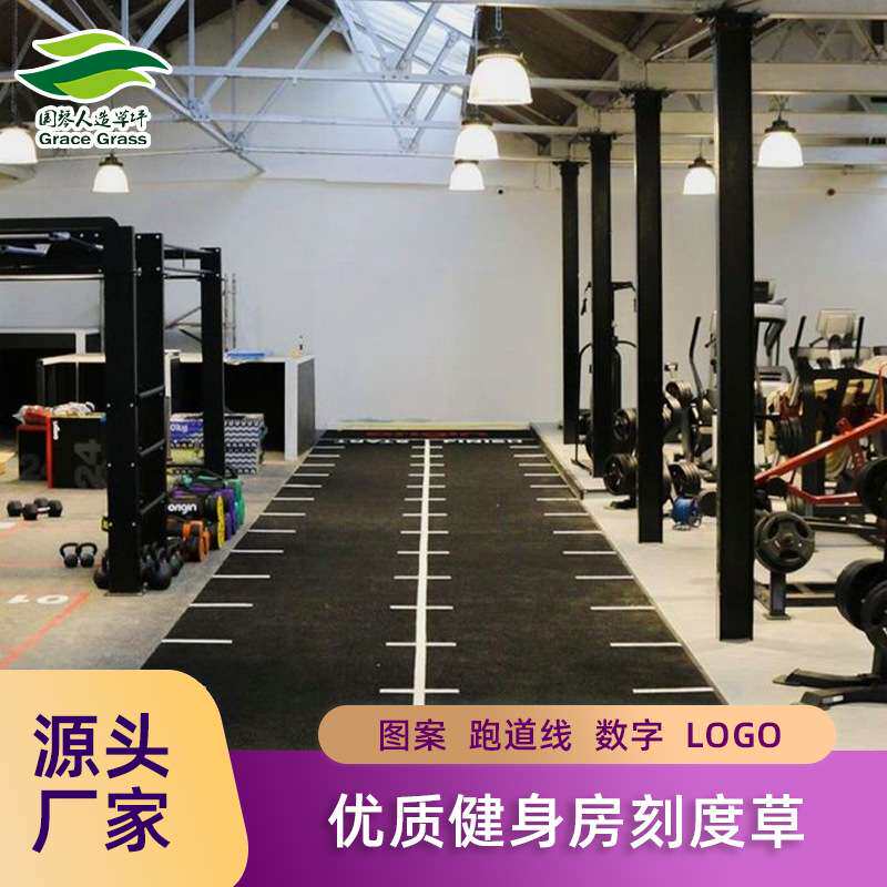 图案设计健身房草坪垫刻度人工草坪数字图案线条雪橇LOGO耐磨草皮