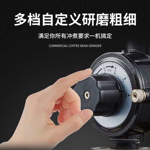史蒂芬stevison 电动磨豆机小型家用咖啡豆研磨机可调粗细CG-500N