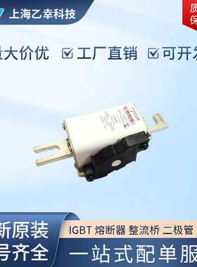 巴斯曼熔断器  170M3273 170M3286 170M3289 170M3292 170M3293