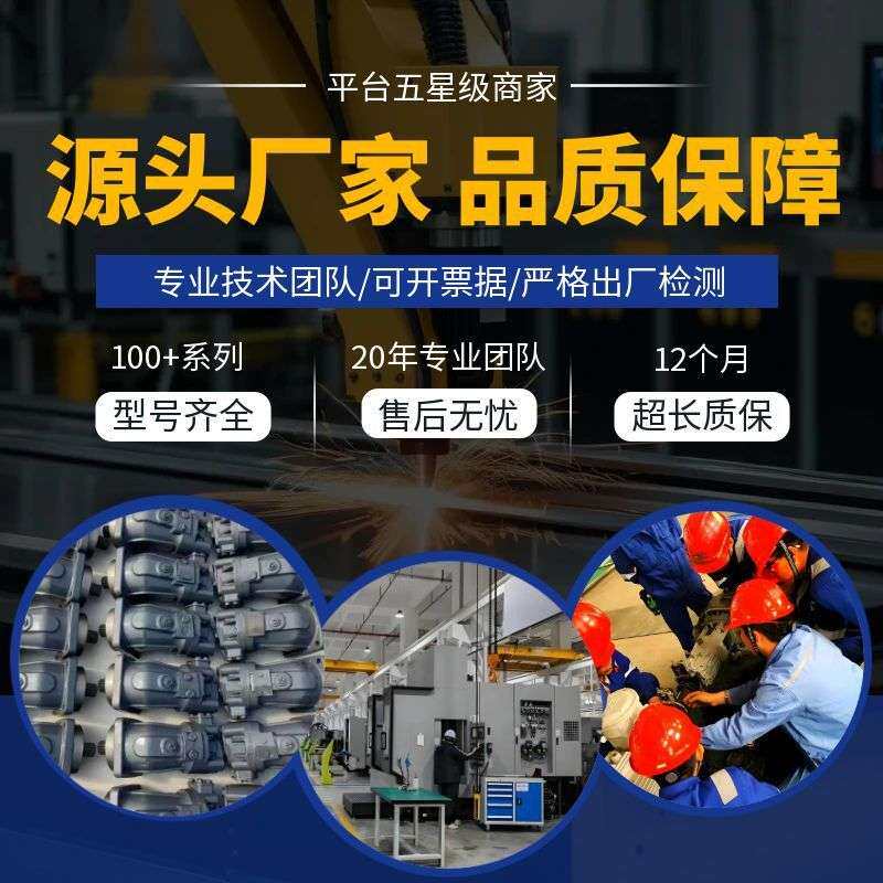 适用于丹尼逊定量叶片泵T6C-031-1R00-B1泵胆denison液压油泵配件