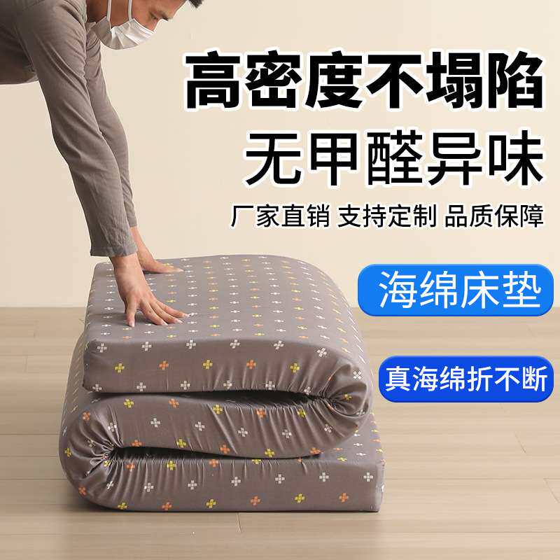 高密度海绵床垫标准宿舍单人双人出租屋家用榻榻米软垫子跨境电商