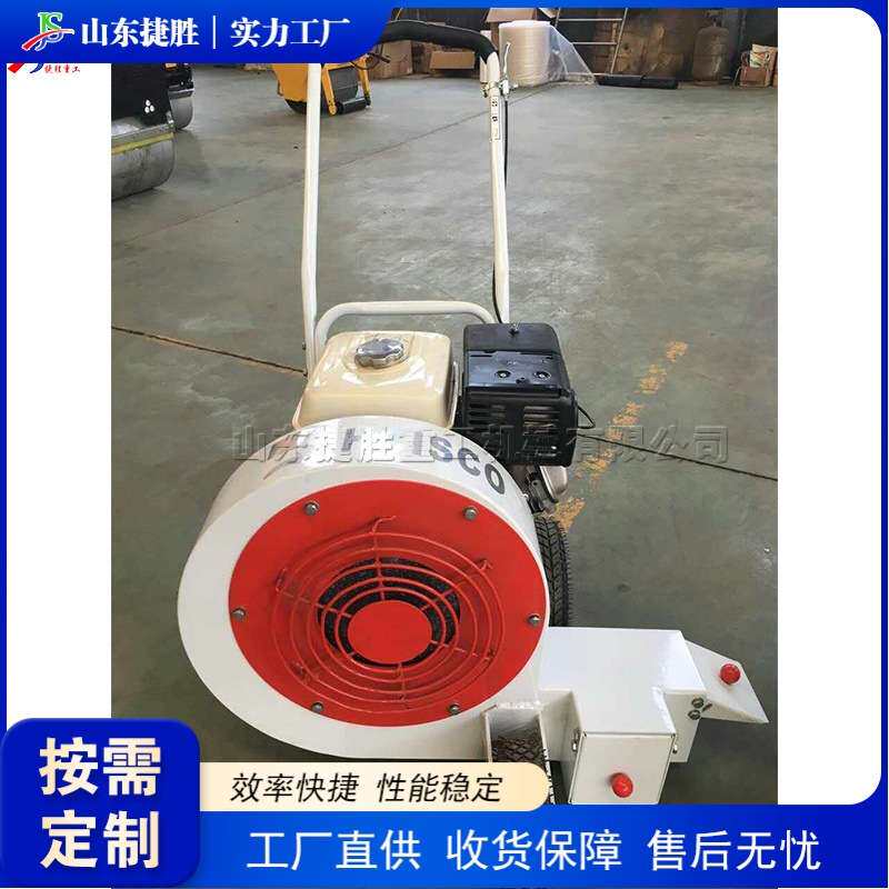 工业级地面清理设备 手推式马路吹风机 露天体育场清洁设备