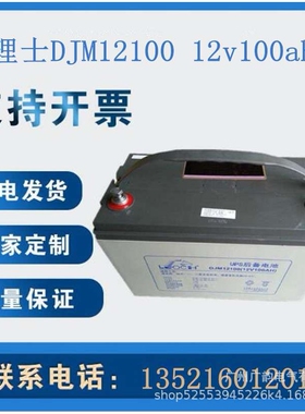 原装理士蓄电池DJM12100 LEOCH铅酸蓄电池12V100AH电力储能用