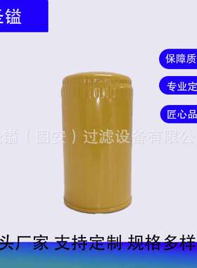 S51C13ZA5B FS19934 FS1959 1613872000 P551670机油滤清器