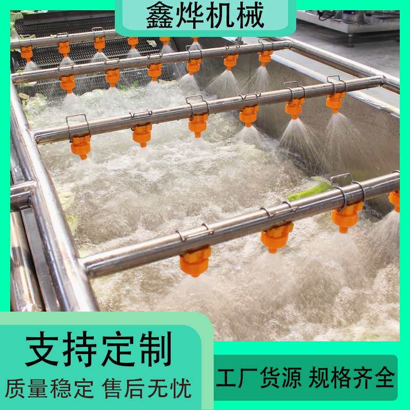 厨房蔬菜清洗机 净菜加工清洗流水线 蓝莓杨梅清洗线