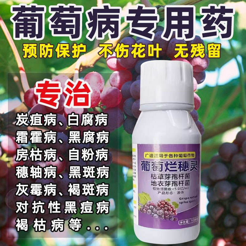 葡萄树专用e药黄化病毒病卷叶病缩叶病叶片反卷变色枯萎灰霉霜病