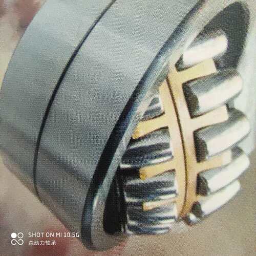 IAN 德国进口轴承 400365 Z 534176 F 809280 PLC59-5 PLC59-10 M