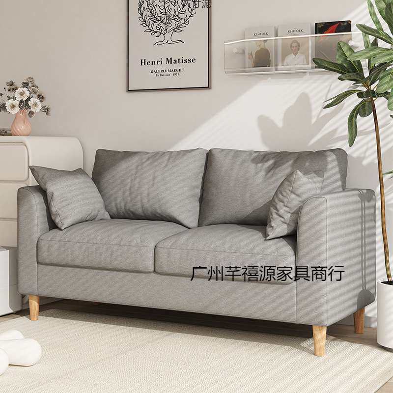 沙发小户型简约现代简易出租房屋客厅卧室网红布艺双人小沙发,鲜花速递/花卉仿真/绿植园艺,割草机/草坪机,淘宝优惠券,粉丝福利购,淘宝优惠卷