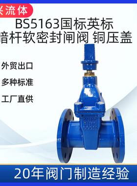 SZ45X地下阀门直埋式闸阀传动帽闸阀球墨铸铁GGG50厂家直销