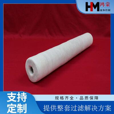 替代Fluitek产品FLK05-00048天然气过滤器管道滤芯纳污能力强