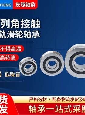 LFR5207-30KDD双列角接触导轨滑轮轴承LFR5207-30NPP U型槽轴承