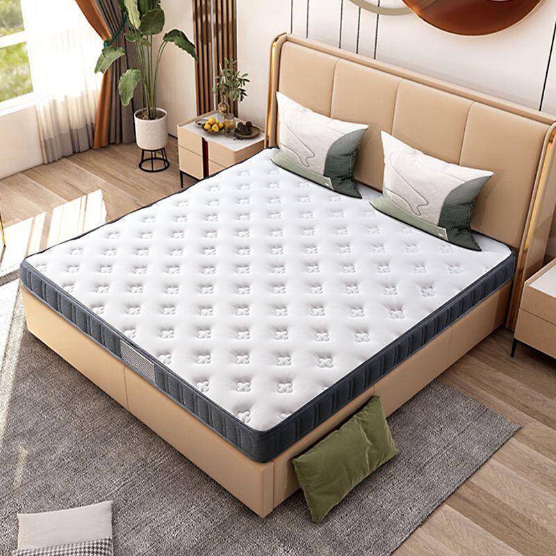 环保椰棕偏硬床垫加厚乳胶床垫子异形折叠拆洗榻榻米