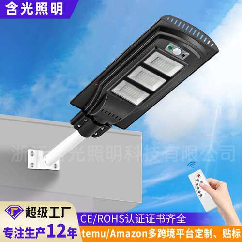 一体化太阳能路灯30W 6米海螺热镀锌杆农村户外灯 人体感应庭院灯