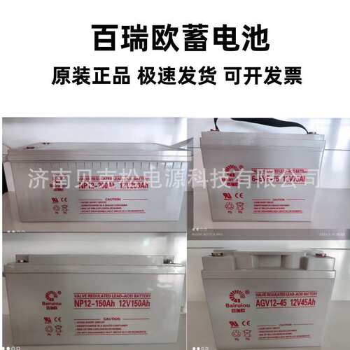百瑞欧蓄电池BT/NP12-20012v长寿命