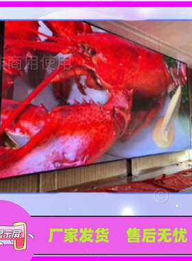 9.7寸显示屏IPAD3/4代显示器改装2K视网膜屏套件LP097QX1