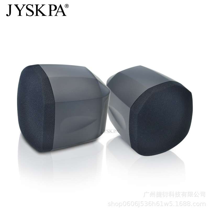 WR310 时尚音箱壁挂迷你吊装音箱公共广播背景音乐带分频器