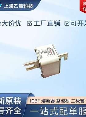 巴斯曼熔断器  170M5310 170M5311 170M5312 170M5313 170M5314