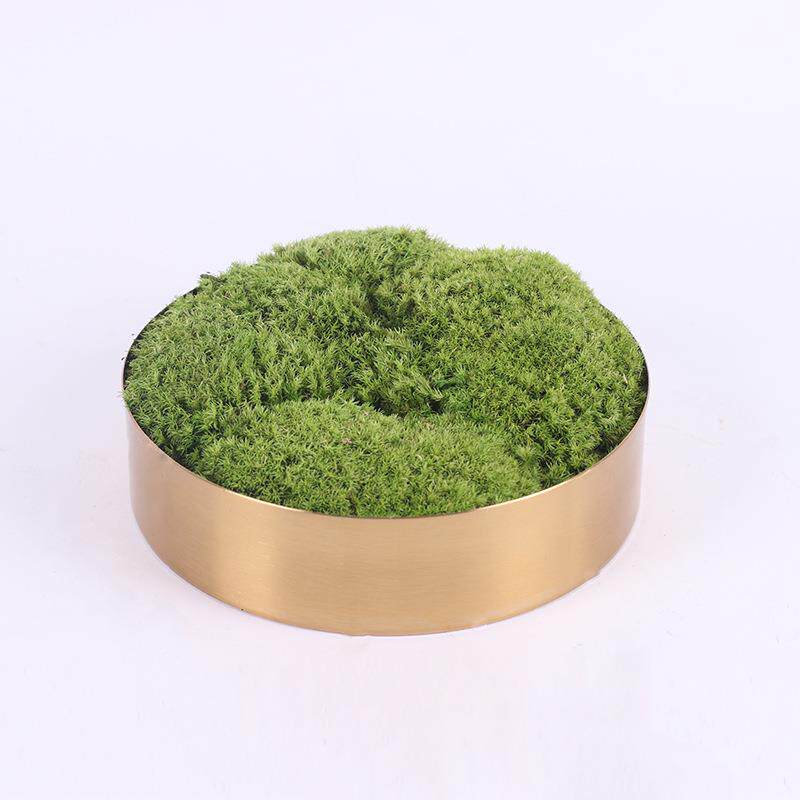 新中式仿真微观绿植枯山水盆景售楼处洽谈桌书房 永生苔藓