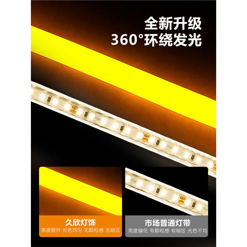 TRIACLED冰蓝色灯带圆形柔灯带条天蓝色户外装饰浅蓝色灯条220V冰