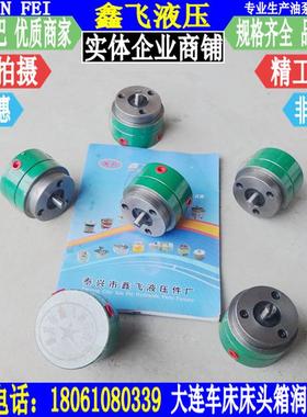 CDS6150B CDS6250C CDS6166B CDS6266C大连车床床头箱摆线油泵
