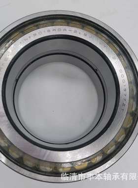 SL04 -5028PP圆柱滚子轴承SL045028PP-2NR NNF5028ADB-2LSV