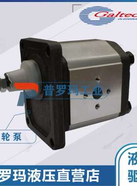 原装意大利高泰克齿轮泵齿轮马达GALTECH 2SMA8R-10N高压齿轮泵