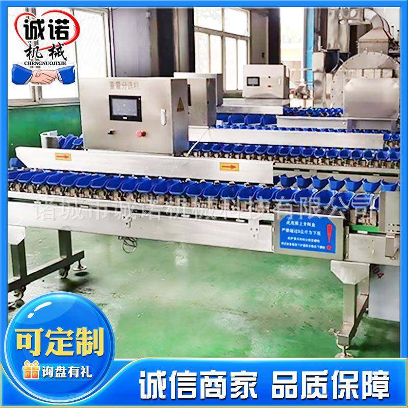 商用果蔬转盘式分选机全自动鲍鱼重量分选设备火龙果大小分级机,清洗/食品/商业设备,其他食品加工设备,淘宝优惠券,粉丝福利购,淘宝优惠卷