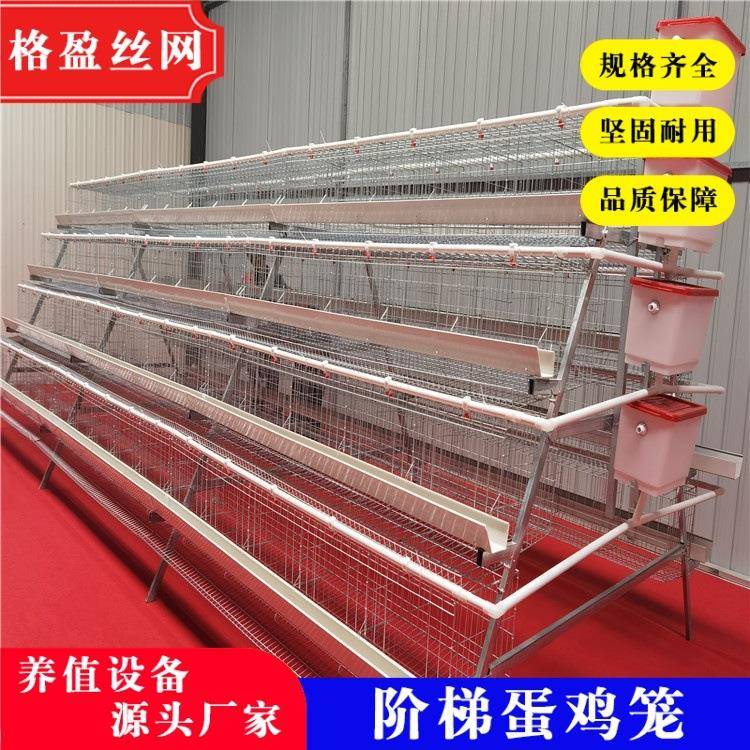 阶梯蛋鸡笼四层养殖厂工厂直供A型蛋鸡笼鸡窝热镀锌可供外贸