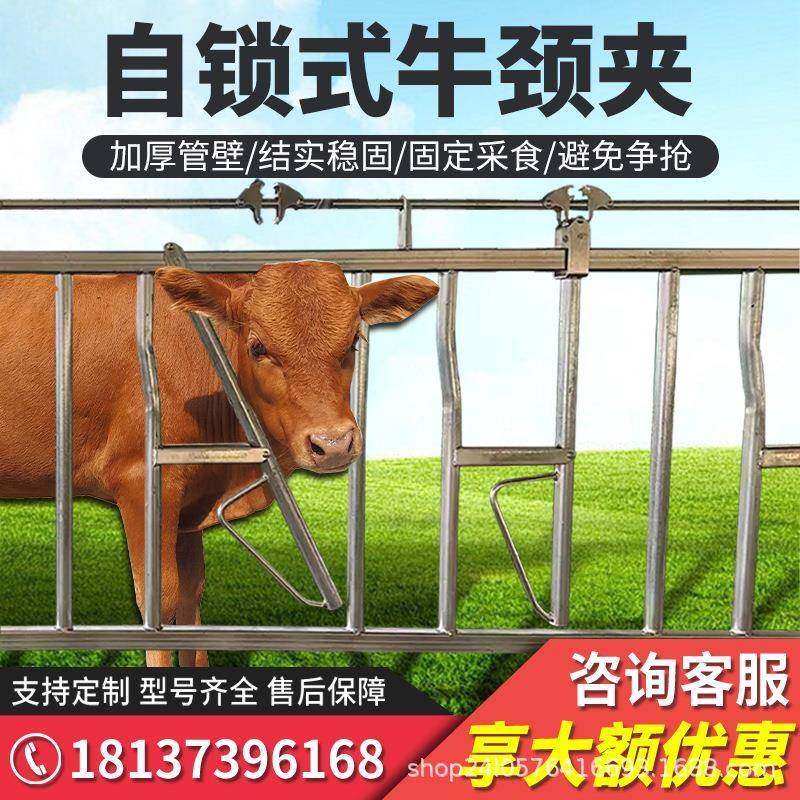 牛颈枷牛颈夹自锁式单开双开活动位加厚热镀锌养牛厂奶牛防疫用,畜牧/养殖物资,特种养殖设备,淘宝优惠券,粉丝福利购,淘宝优惠卷