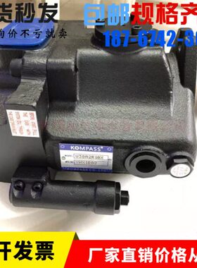 变K泵V210 3A1S 塞3A台湾ROX柱S R油泵2V2康百世X10MPA量