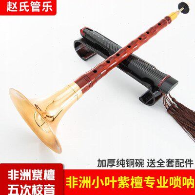 赵氏唢呐乐器全套专业演奏纯铜高档非洲小叶紫檀D调降B调索拉唢呐