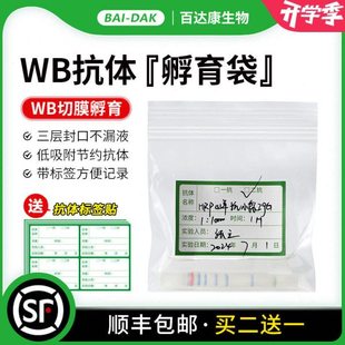 百达康 WB抗体孵育袋 抗体杂交袋 抗体稀释袋 一抗二抗袋子带标签