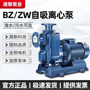 BZ自吸泵工业级工程用水抽水泵卧式吸水式自吸泵