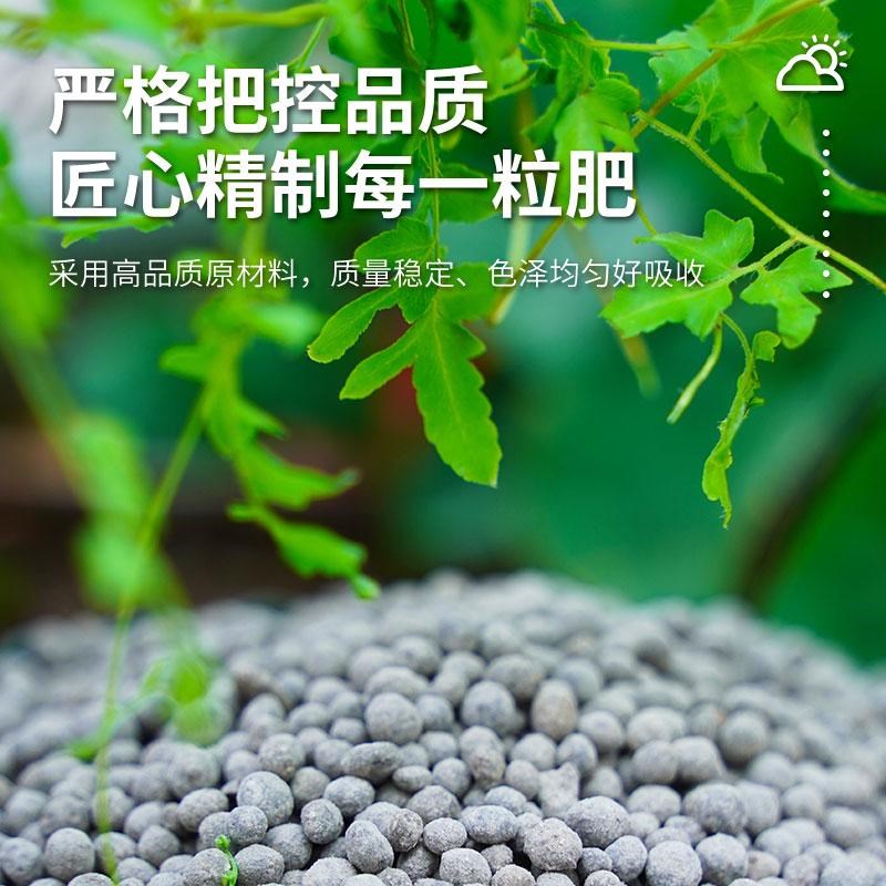 中有 园艺有机缓释花肥绿植养花盆栽通用复合肥料长效控释肥春肥