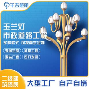 中华灯市政工程道路照明8米LED中华灯景区广场主干道玉兰灯景观灯