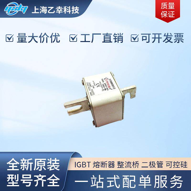 巴斯曼熔断器 170M5509 170M5510 170M5511 170M5512 170M5513