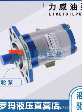 合肥力威汽车转向液压油泵QC16/13-6DF2D客车汽车动力泵转向油泵